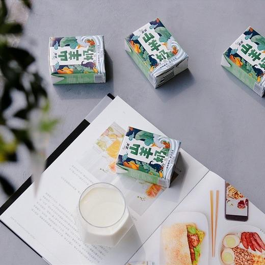 安牧山羊奶 两箱（200ml/盒×10/箱) 商品图6