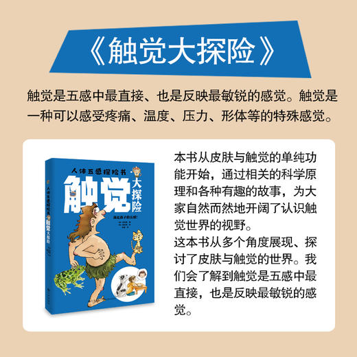29【推荐】正版5本《人体五感探险书》一套专为孩子打造的五感科普书  多领域知识全覆盖！ 商品图5