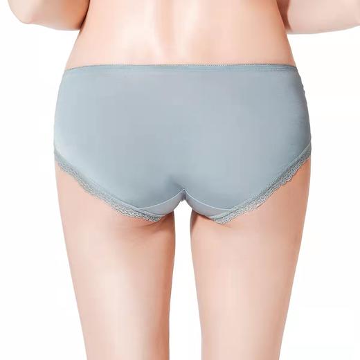 【列维斯蕾丝】安莉芳女棉质底裆内裤低腰三角裤E13771 商品图2