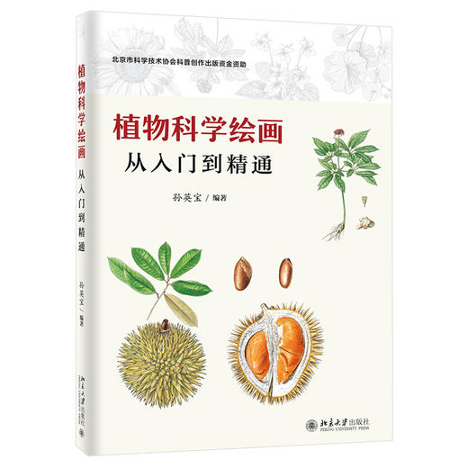 《植物科学绘画 从入门到精通》    作者：孙英宝    定价：89元 商品图0