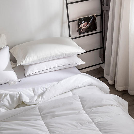 酒店严选 | 羽丝绒 被芯 商品图3