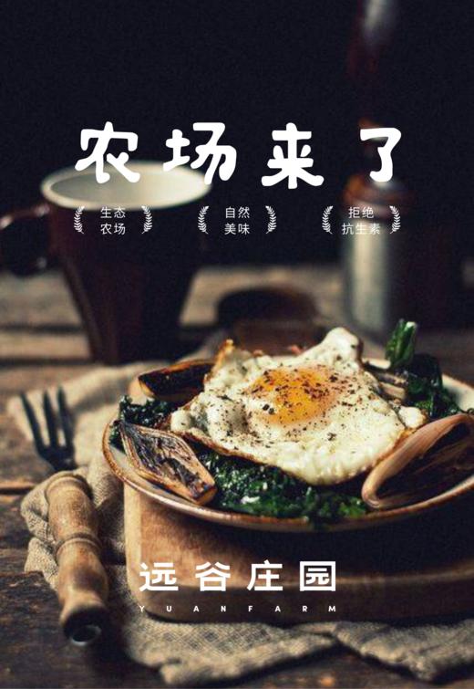 远谷庄园×稲诚书店共读会员卡 商品图0