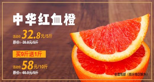 中华红血橙（秭归 亿亩千甜） 商品图0