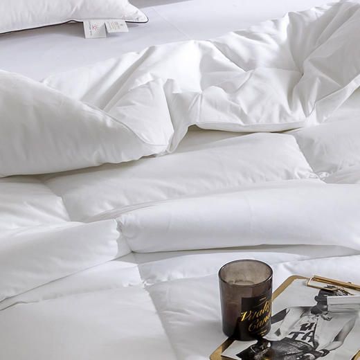 酒店严选 | 羽丝绒 被芯 商品图1