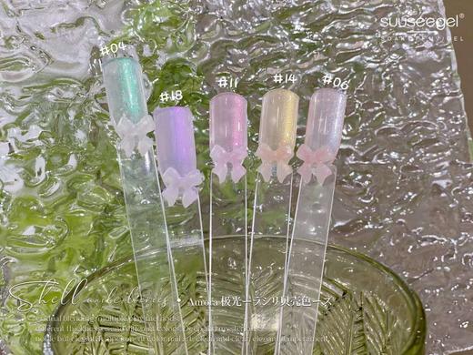 【秒杀价】仙女极光&贝壳色20色套装 商品图8