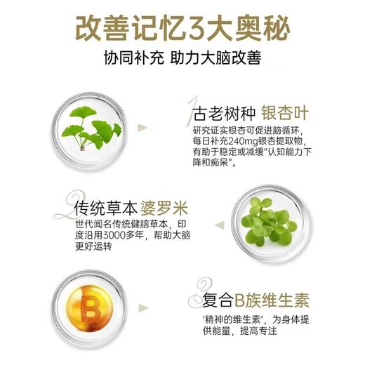 swisse银杏叶片 商品图2