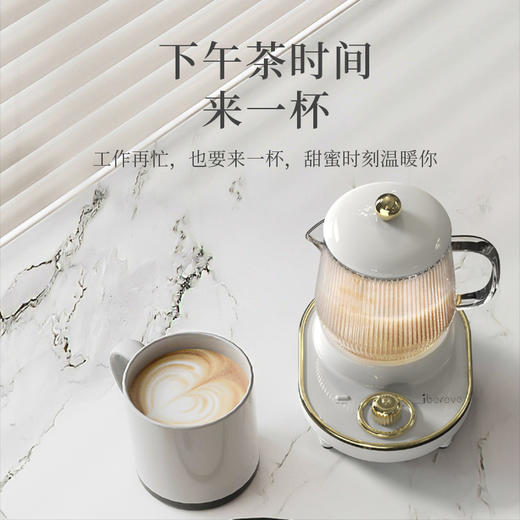 艾贝丽 /养生杯 ABL-YSH003 商品图1
