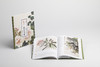 【签名钤印本&组合&单本】大师课堂·陆抑非花鸟技法图解 定价68元&大师课堂5本&2本&3本组合 商品缩略图8