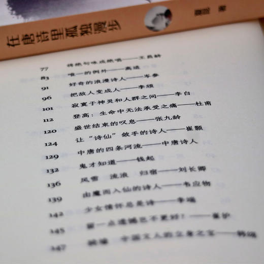 在唐诗里孤独漫步 商品图3