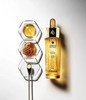娇兰帝皇蜂姿修护复原蜜
净重50ml 商品缩略图1