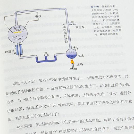 王立铭《生命是什么》 商品图5