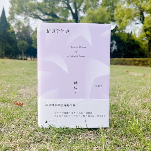 【“云端书展”专区】精灵学简史   臧棣/著     商品图3