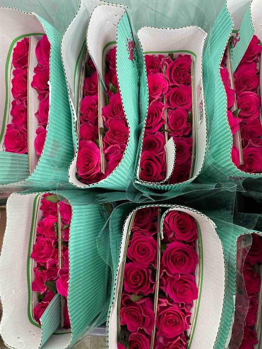 【昆明玫瑰】高胜（高盛）  20枝/扎  A级 商品图5