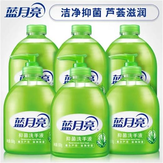 蓝月亮抑菌洗手液500ml 商品图1