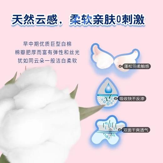 1F超市 Cottonday/绵柔时光亲肤绵柔日用卫生巾 商品图8