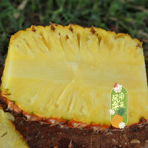 【脆甜爽口 肉质紧实】【海南南采金钻凤梨】菠萝水果 皮薄肉厚，清甜多汁 商品图6