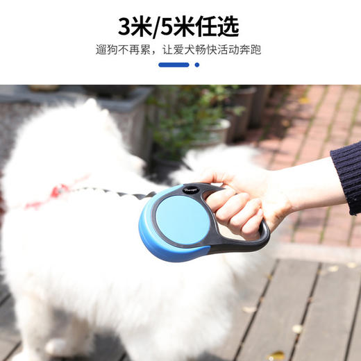 自动伸缩宠物猫狗牵引绳尼龙防滑包胶手柄便携伸缩宠物牵引器 优选好物-W仓 商品图2