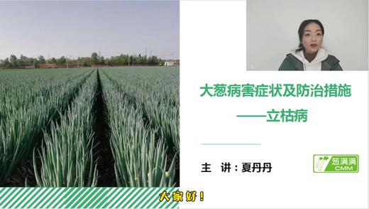 大葱病害防治——立枯病 商品图0