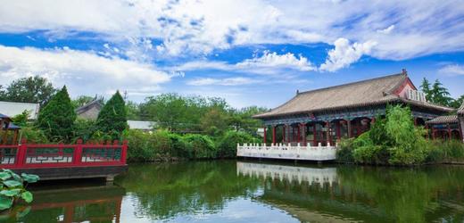 【北京昌平】朗丽兹太和府酒店平日周末撸猫套餐 | 自助餐+猫檐撸猫+探索乐园+表演活动【BW】 商品图1