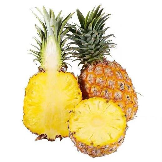 海南香水菠萝1个225斤左右