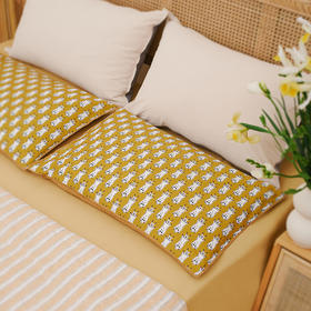 卡通系列单人荞麦枕头