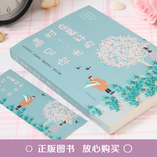 【9.9元包邮】人生的真谛：在最好的时光遇见你在人海之中遇见你他站在时光深处 商品图1