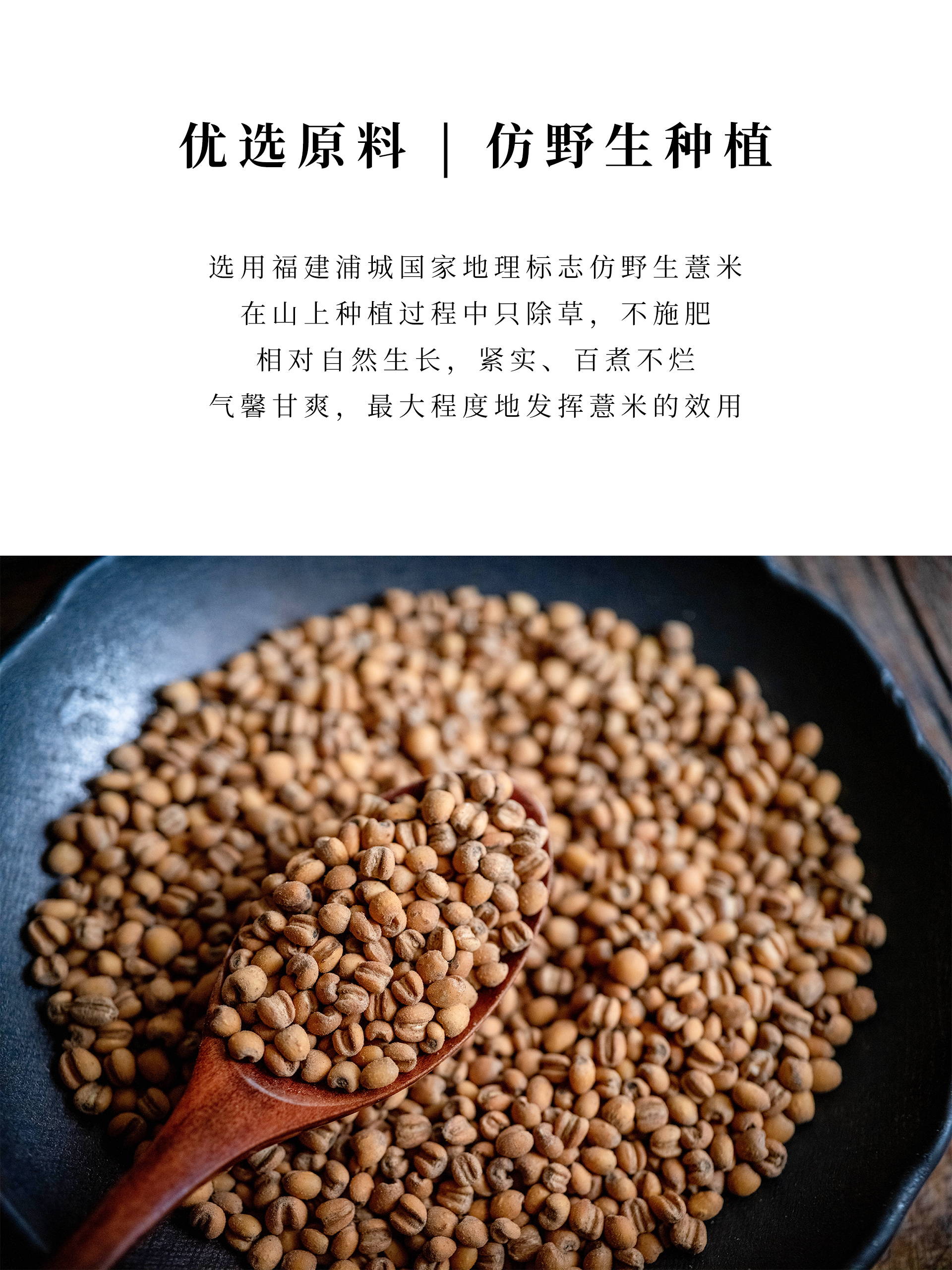 麦麸炒薏米明火柴烧炒制避免过寒伤及脾胃添加麦麸中和薏米寒性国家