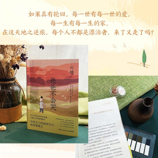 爸爸不会哭 商品图1