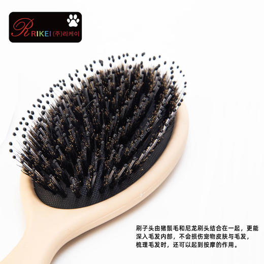 韩国RK猪鬃毛刷  宠物美容高端天然猪鬃梳 商品图2