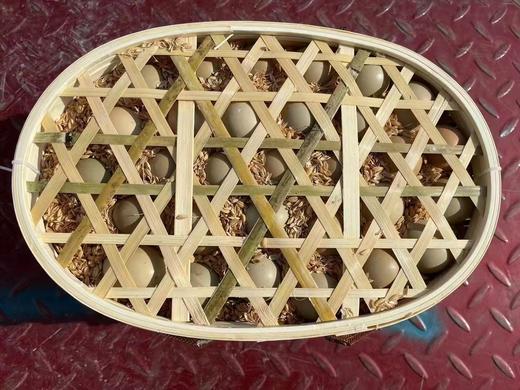 七彩野鸡蛋 篮/45枚 商品图2