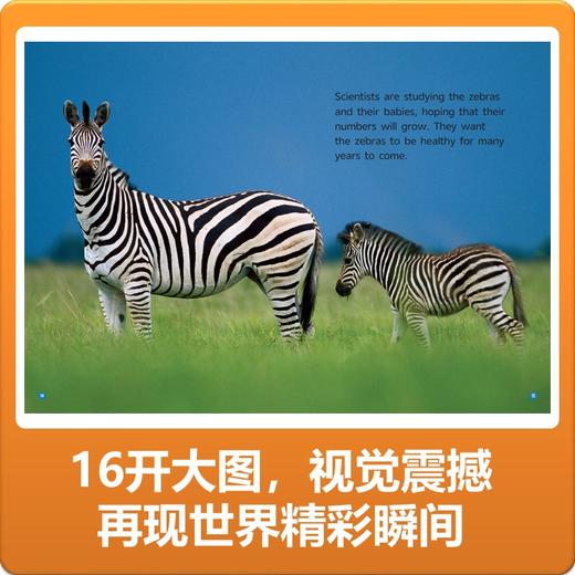 美国国家地理英语分级读物系列 商品图6