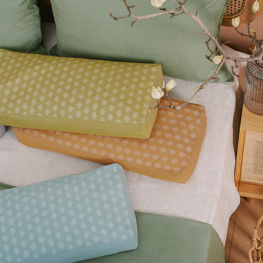 瑞士十字荞麦护颈枕头长方单人枕头 商品图0