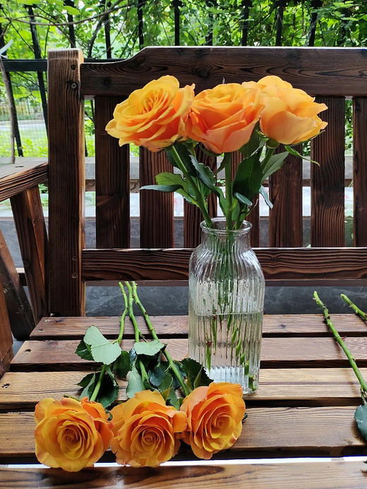 包月单支玫瑰颜色任选不含包装花瓶 商品图5