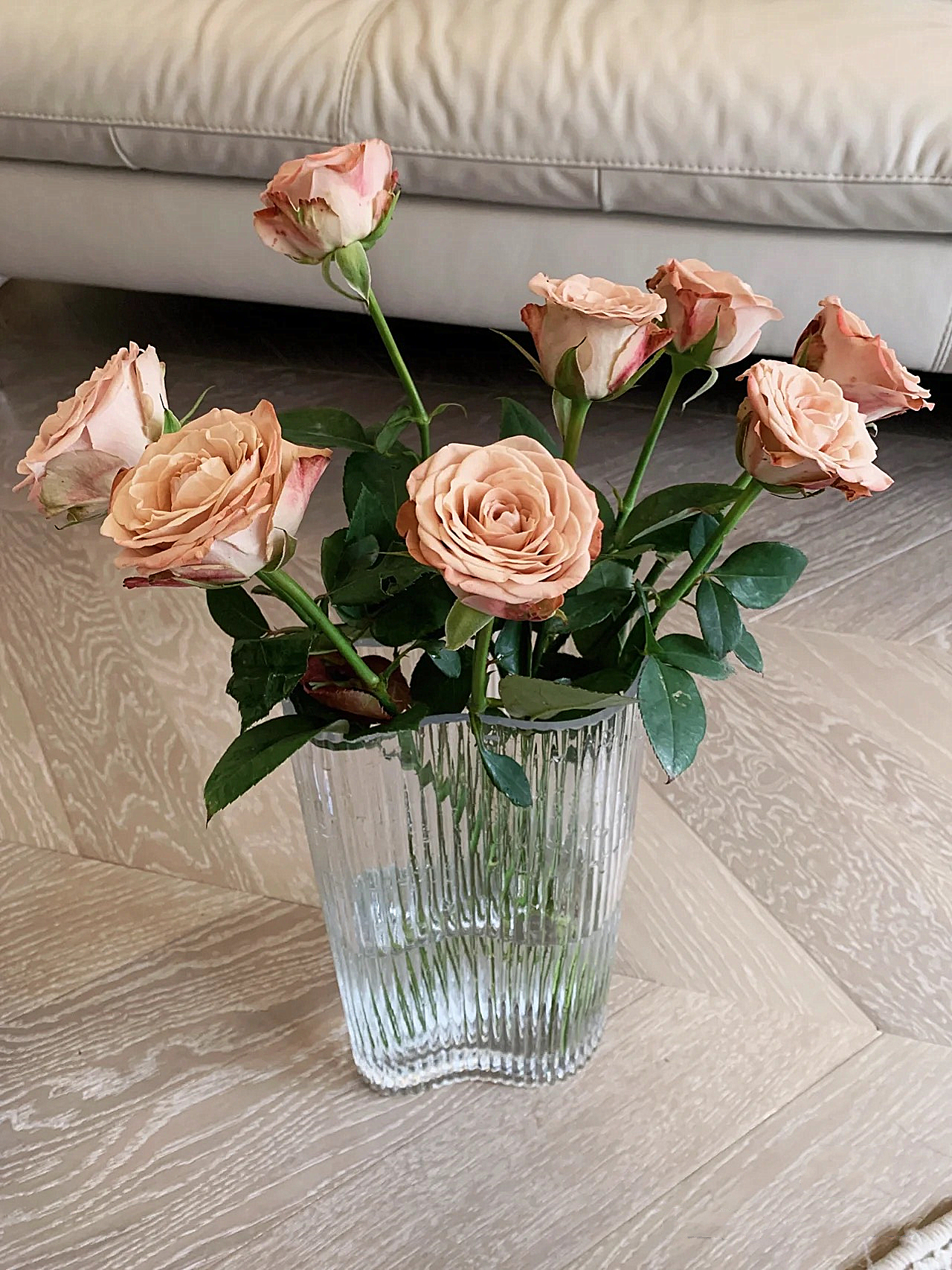 单支卡布奇诺（所有单支花材100块钱起卖不含包装花瓶）