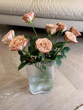 单支卡布奇诺（所有单支花材100块钱起卖不含包装花瓶）