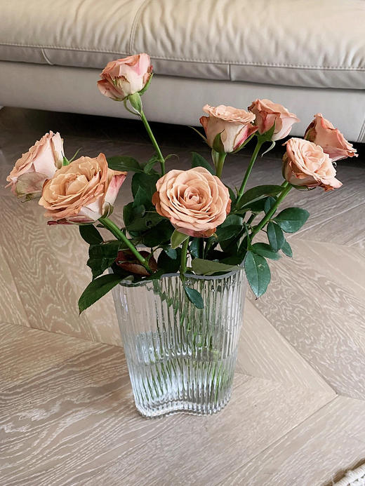 单支卡布奇诺（所有单支花材100块钱起卖不含包装花瓶） 商品图0