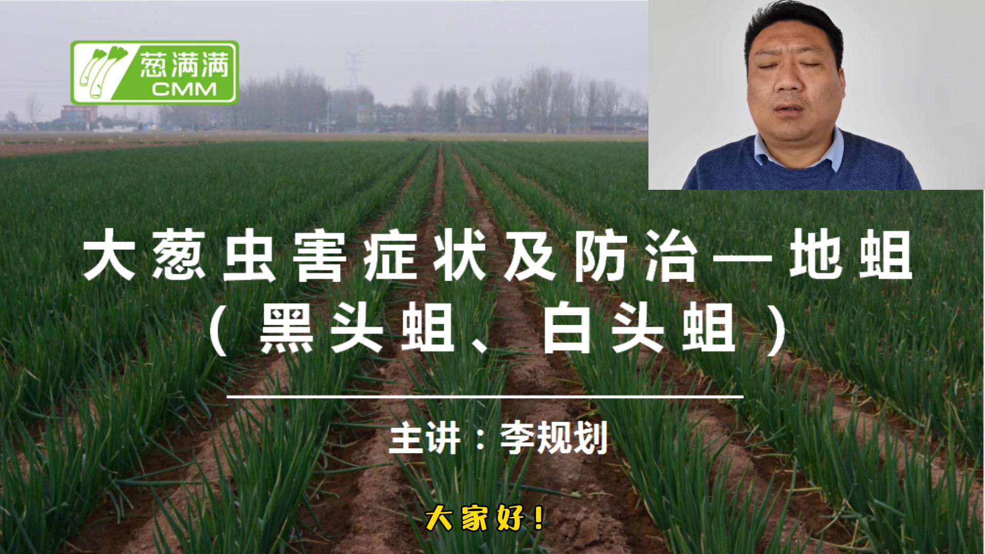 大葱虫害防治——地蛆