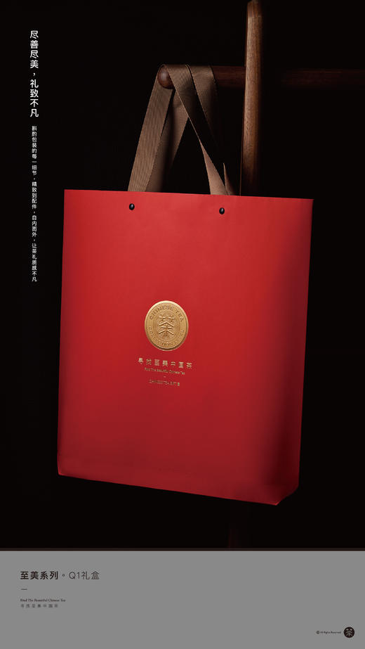 至美-Q1 商品图11