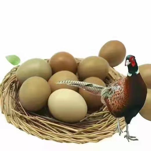 七彩野鸡蛋 篮/45枚 商品图3