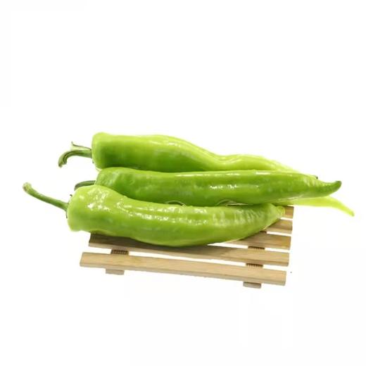 青尖椒 商品图0