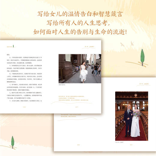 爸爸不会哭 商品图2