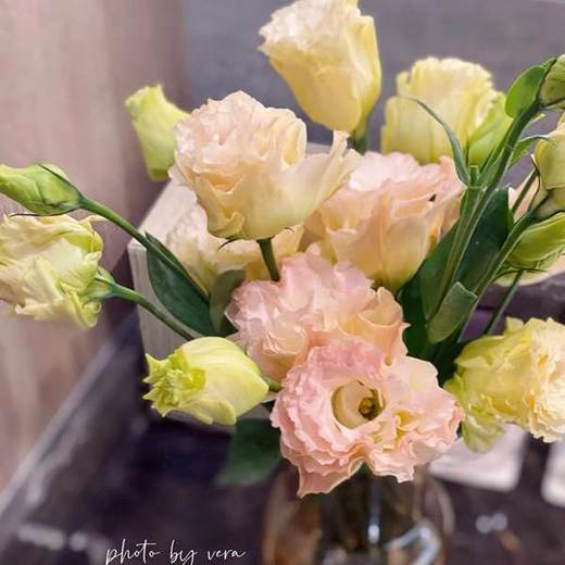 单支香槟色洋桔梗（所有单支花材100块钱起卖不含包装花瓶） 商品图0