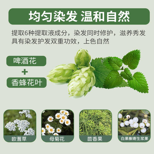 美源发彩881（进口） 商品图1