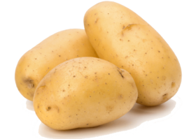 新土豆