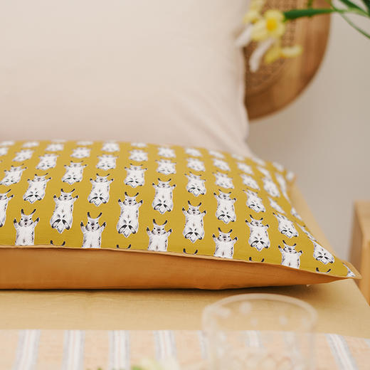 卡通系列单人荞麦枕头 商品图2