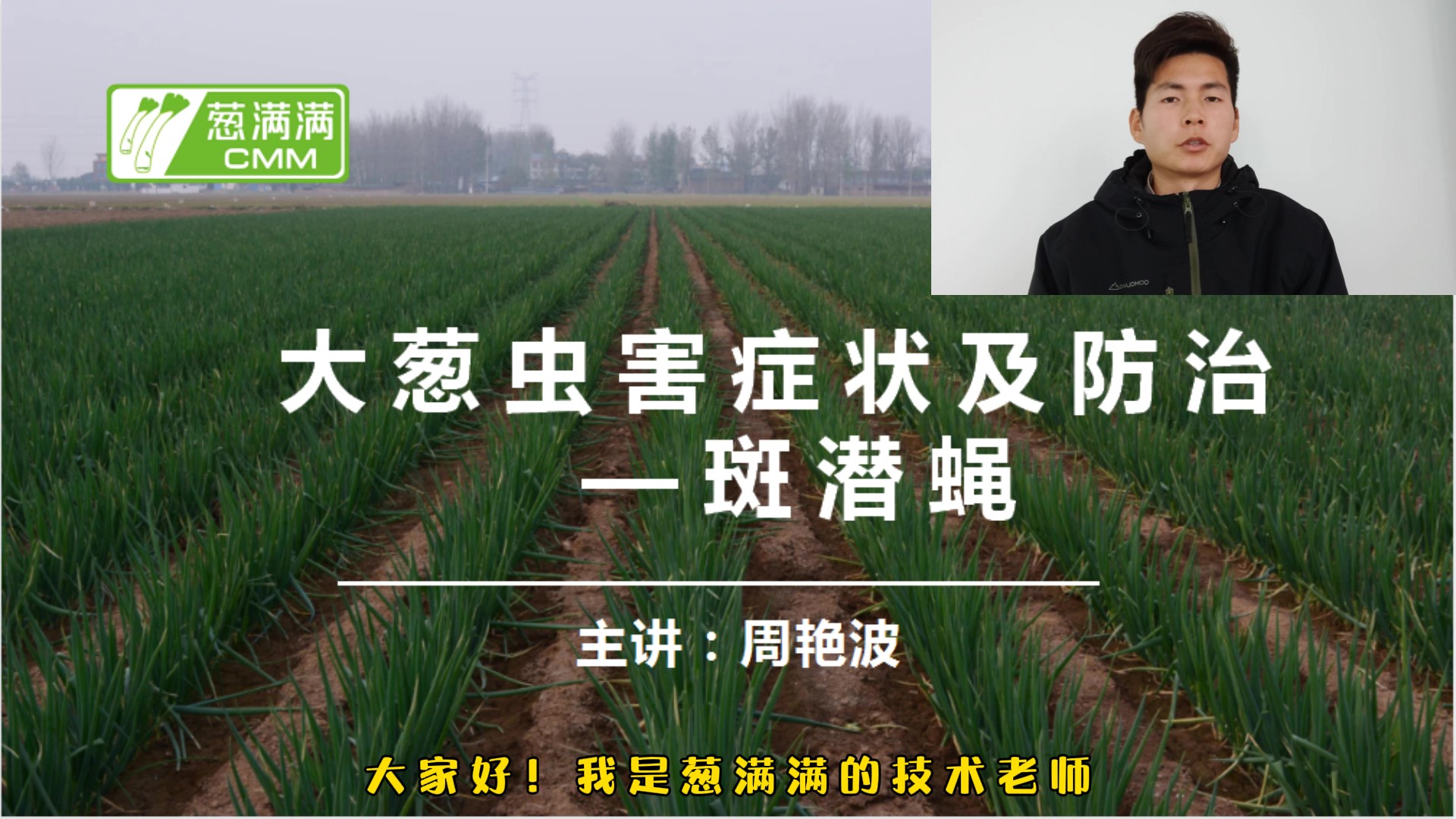 大葱虫害防治——斑潜蝇