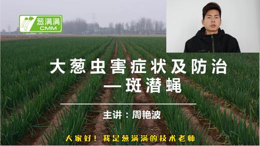 大葱虫害防治——斑潜蝇 商品图0