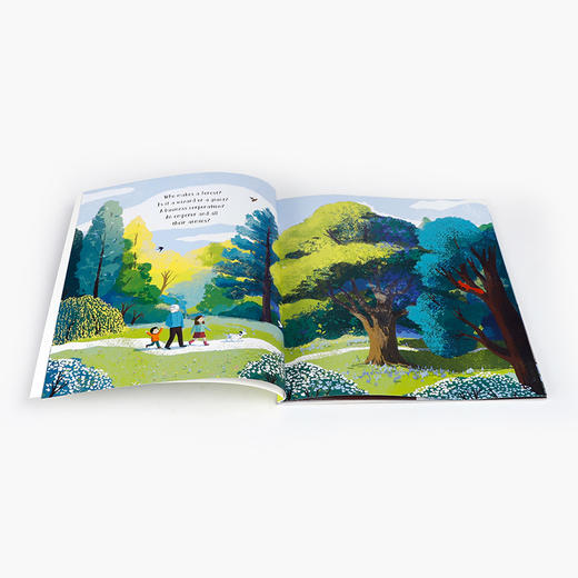 英文原版 Who Makes a Forest? 谁创造了森林 儿童探索自然保护环境故事书 精美插画图画书 中小学生英语课外阅读读物 商品图2