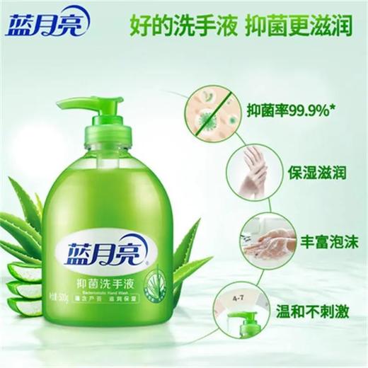 蓝月亮抑菌洗手液500ml 商品图0