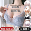 法式蕾丝水晶杯内衣收副乳无钢圈大胸显小文胸LJ-R2 商品缩略图0